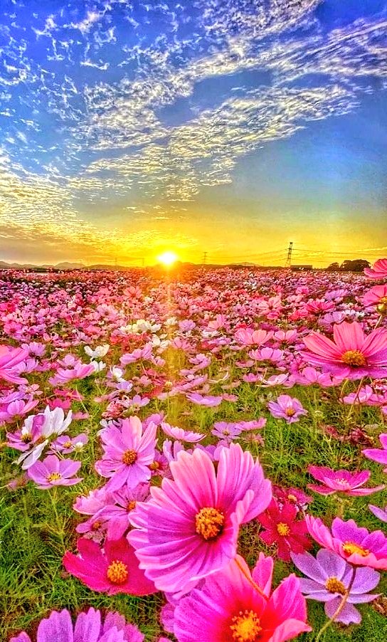 Have a wonderful Sunday 🇦🇺🇳🇿 friends. #BetterTogether Have a SPAMtasitic breakfast! #owlsofnite <a href="/narelleford/">Narelle</a> <a href="/Skymazef3/">Heulwen Sweet</a> <a href="/leonie_hastings/">Leonie Bennett</a> <a href="/TW2CayC/">Cay</a> <a href="/Susansailboat/">Susan</a> <a href="/Janin_74/">Janin L</a> <a href="/teacherasleader/">Sharon McCormack</a> <a href="/snordenWSUproud/">Sharon Norden</a> <a href="/tracyscottkelly/">Tracy Scott Kelly</a> <a href="/Hedreich/">Hedreich Nichols</a> @Math912Teacher <a href="/KimFox44/">Kim</a> @LaVonnaRoth 😉😊🇺🇦👍