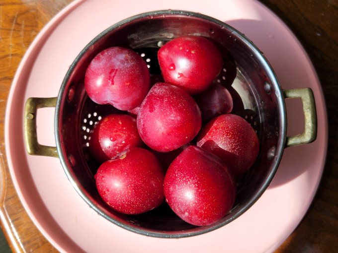 YumiBod⚡ - I grew these plums. 🌸 https://t.co/ByQOUBL00o