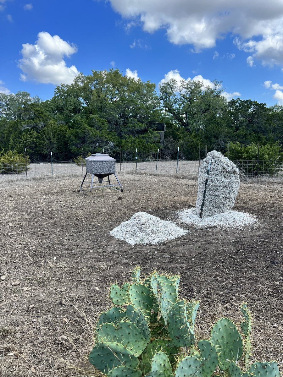 DrLongFrog's tweet photo. Somebody ring the dinner bell....#AdamsRanch https://t.co/UyvTRRc68u