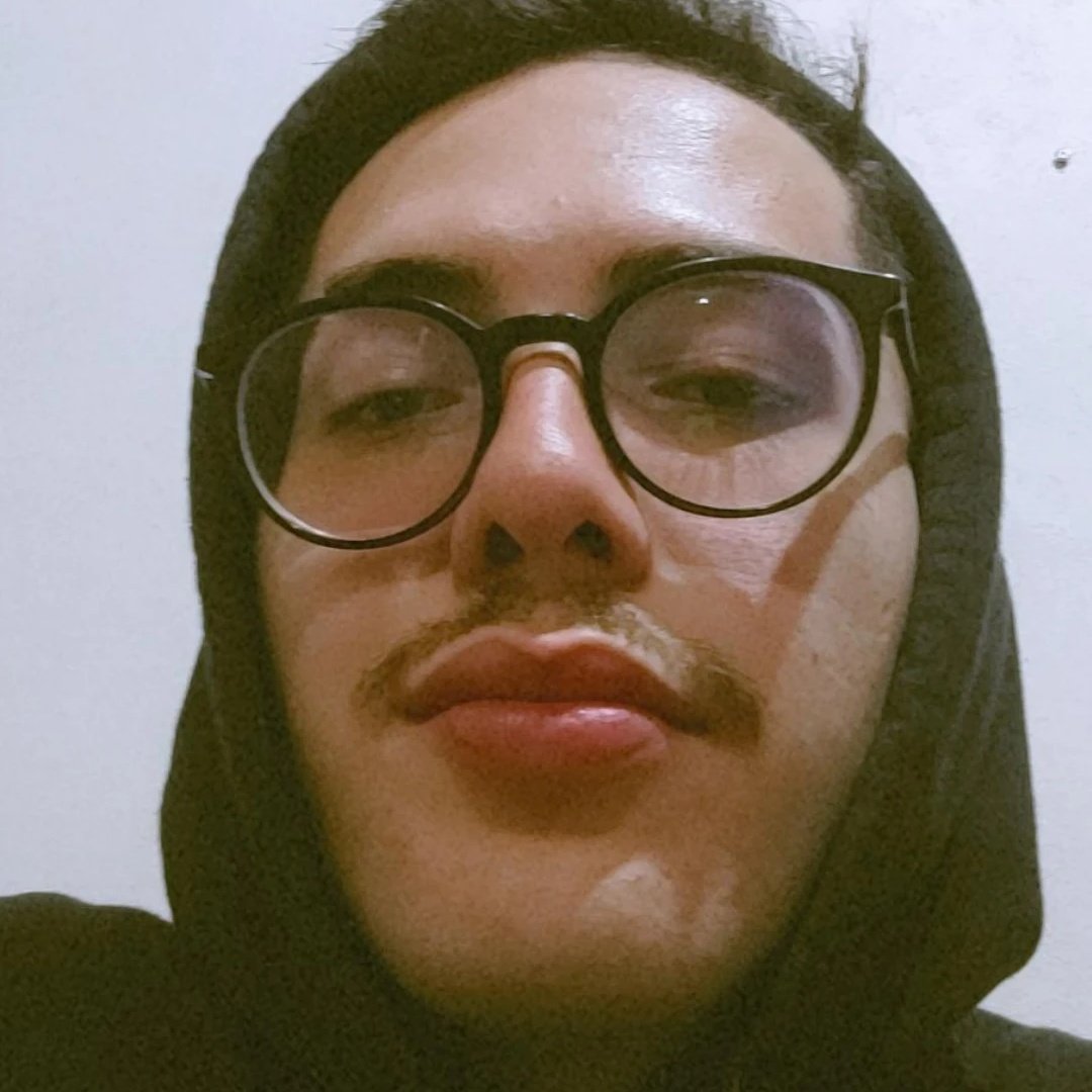 Sir Bigotes