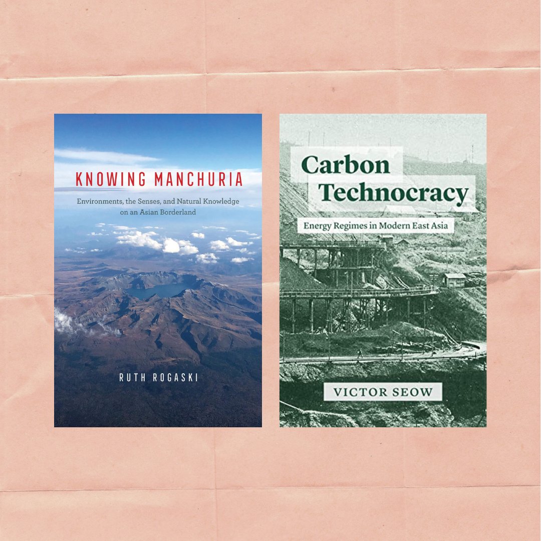 Yangyang Cheng tweet media