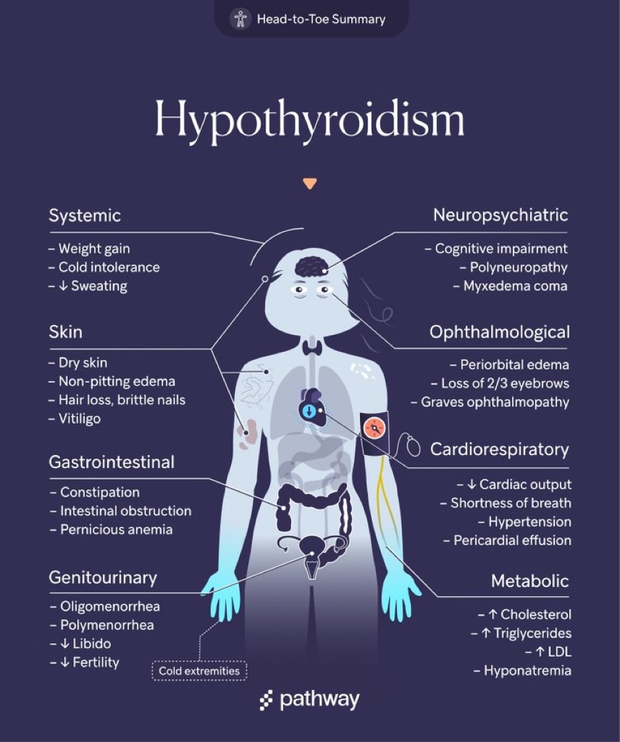 Can Hypothyroidism Raise Blood Pressure Can Hypothyroidism Raise Blood Pressure