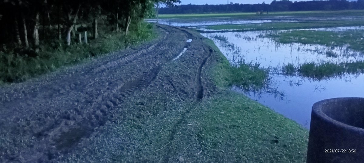 DalimChandraRa2's tweet photo. At North Salmara, Bongaigaon, Assam https://t.co/iCGEMuzyBk