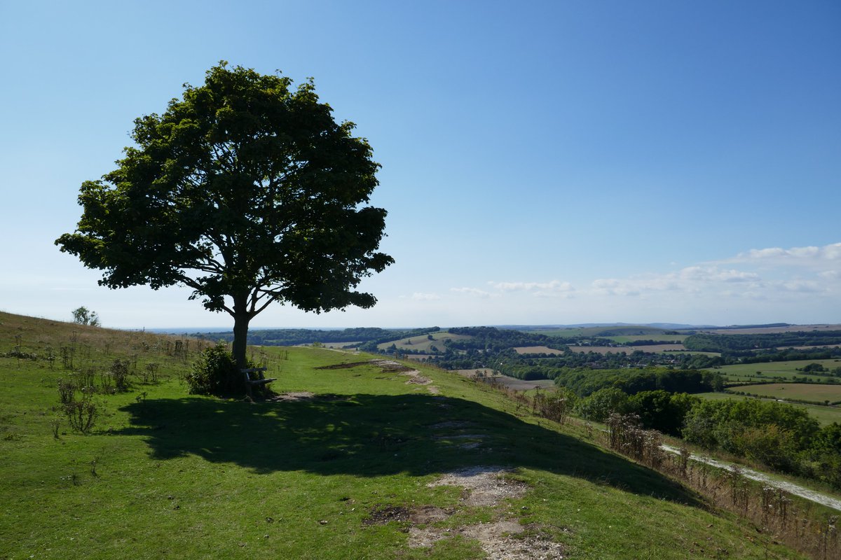 ##Cissbury in the sun with remains of #Neolithic flint mines.