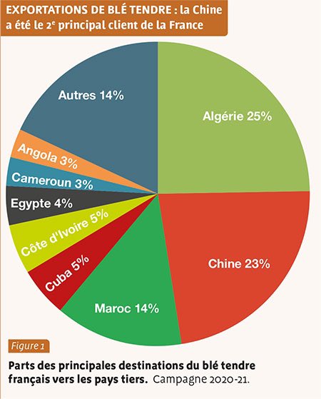 DamienRieu's tweet photo. L’Algérie pille notre blé 😡😡😬 https://t.co/G7dlaNKG1C