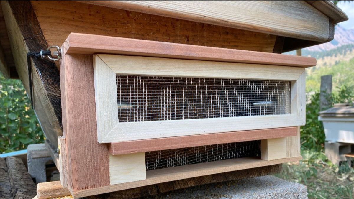 beeguardian's tweet image. Bee Proactive for your Bees - The Robber Bee Scout Trap® is designed to stop #robbing from ever beginning

An attachable device for #Cathedral Hive™, #Langstroth, Top Bar hives that protects #beehives from robbing, yellow jackets by trapping them 
 mailchi.mp/backyardhive.c…
