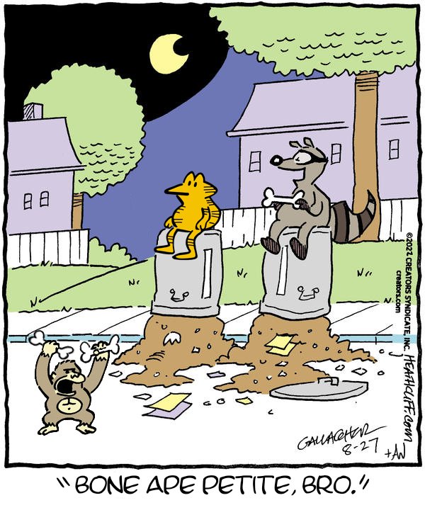 hopcliff's tweet image. Saturday Hopcliff: