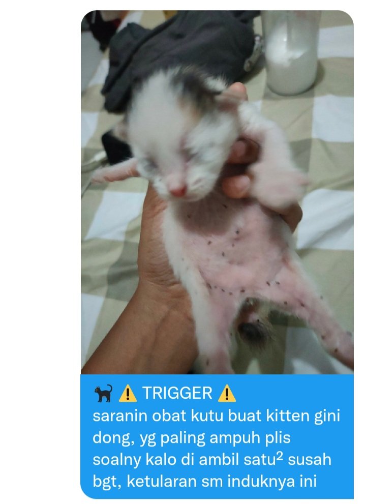 🐈‍⬛ tolong dong guyss sarannya /titipan
