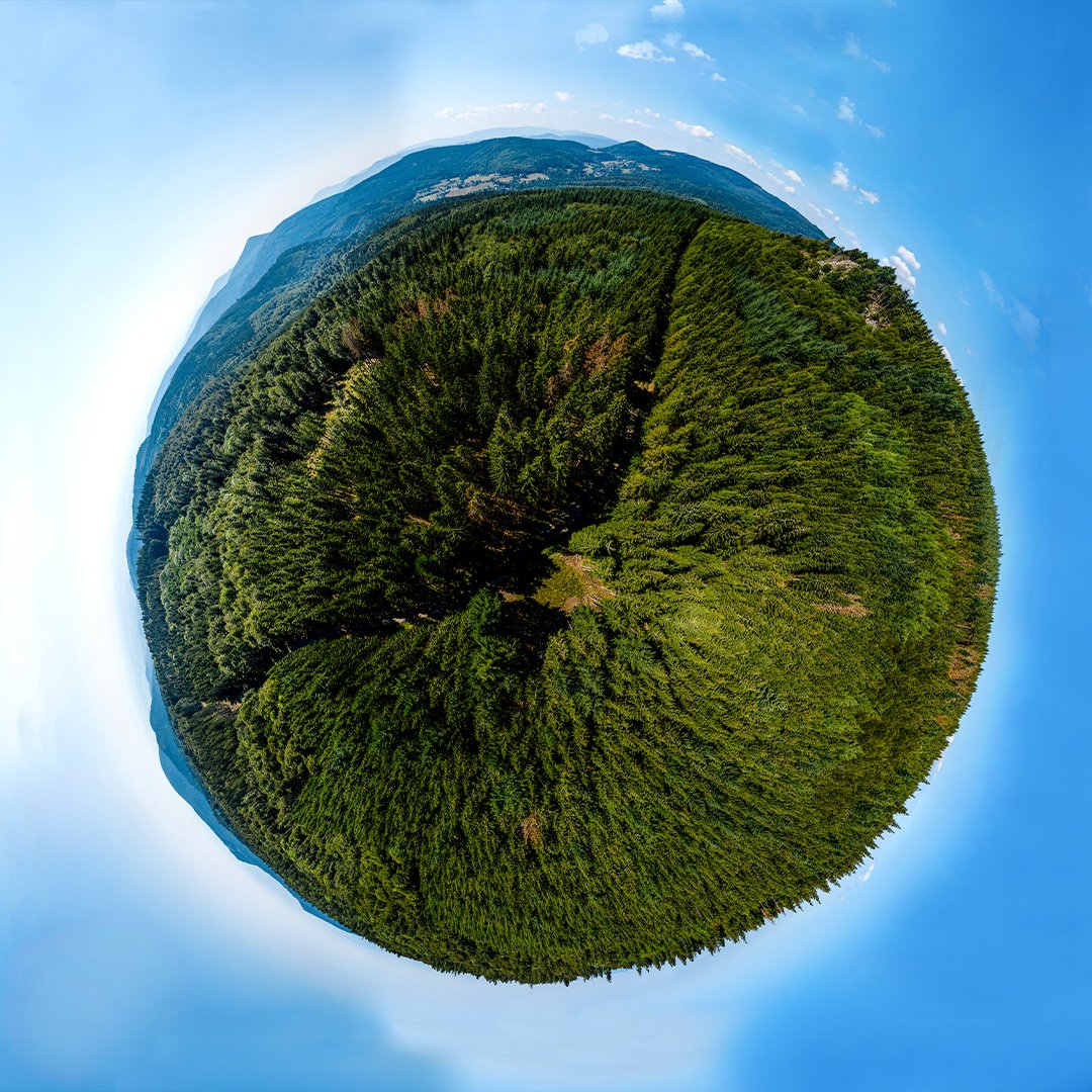 UNESCO_es's tweet photo. Son menos del 5% de la población mundial, pero los pueblos indígenas salvaguardan el 80% de la biodiversidad de la Tierra. 

El conocimiento ancestral es vital para la protección de nuestro planeta. 

 https://t.co/gRswKrlZgH #UnescoGreenCitizens #SomosIndígenas https://t.co/7Pei6BgonW