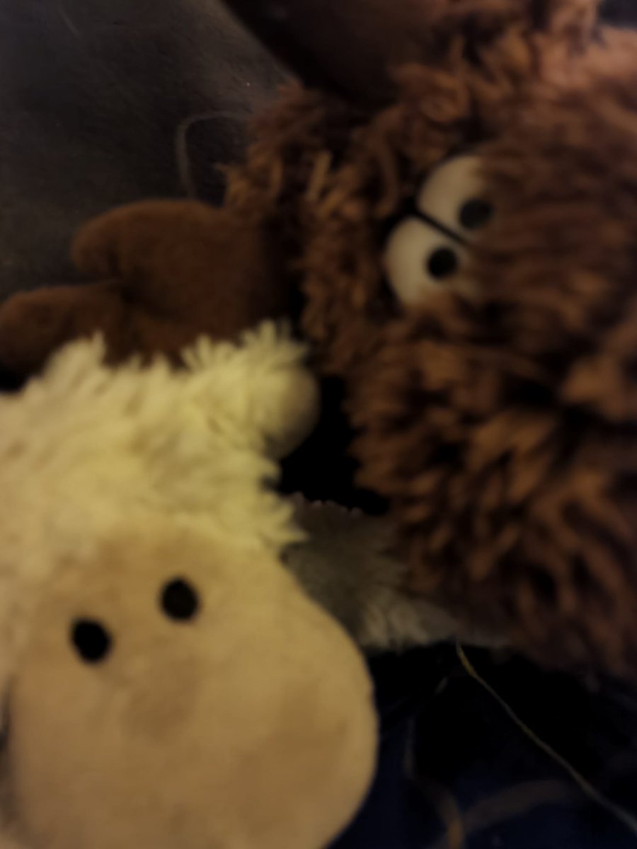 EfeuWinterfest's tweet photo. Schafi und Elchi schauen natürlich auch Monsters &amp; Explosions
#FYNG #Gamescom #Gamestar https://t.co/HwO8MaTV85