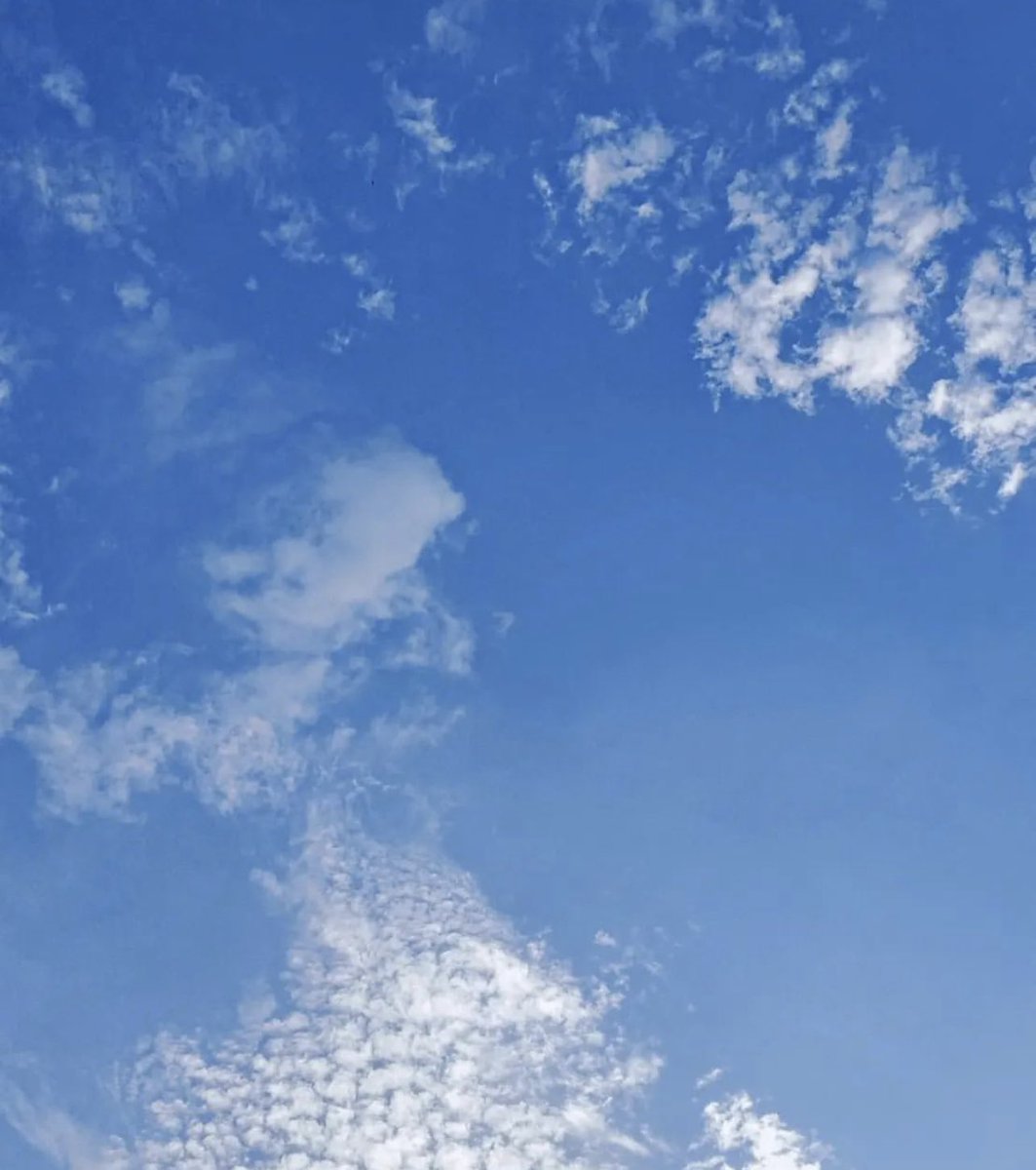 instagram update 📸 
#HongJinyoung #홍진영