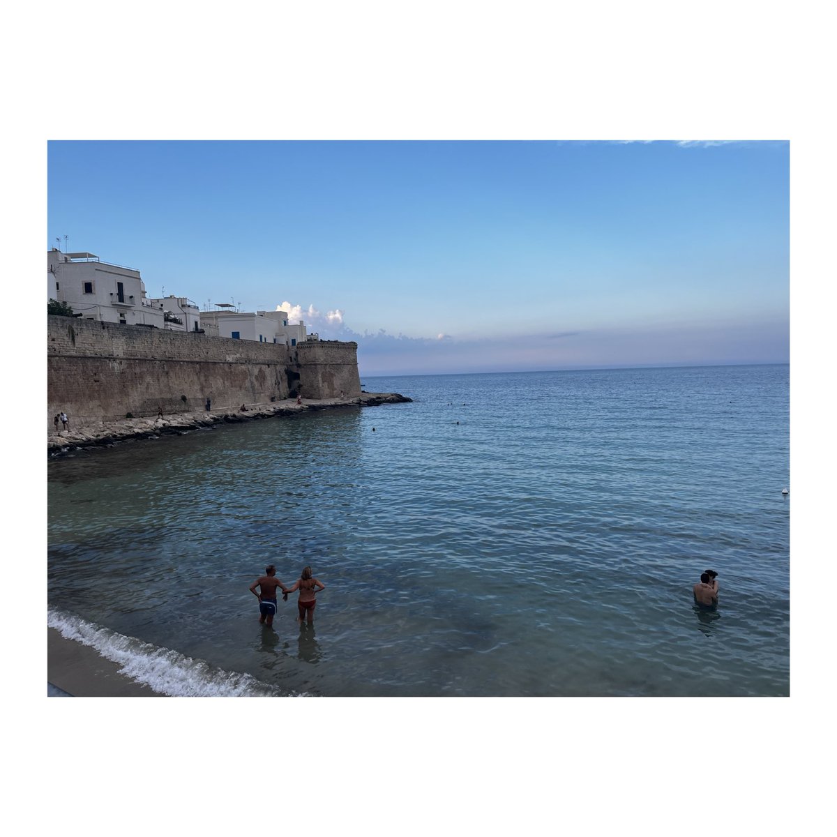 Dave Forrest tweet media