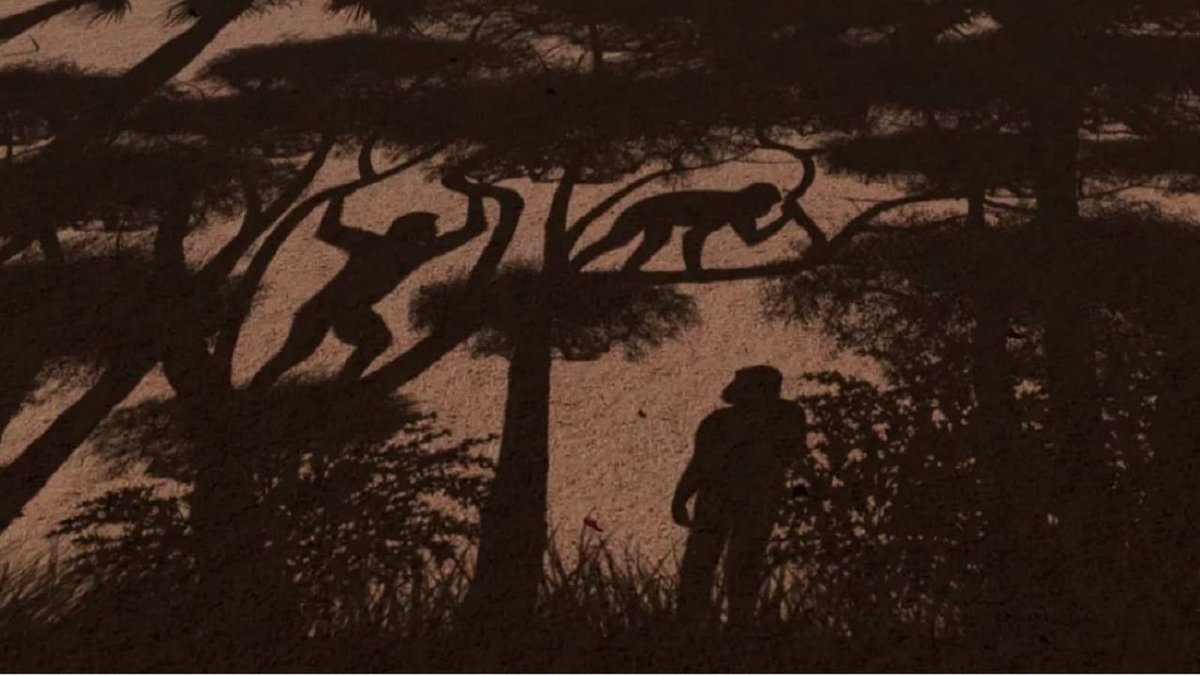 sitesuperviral's tweet image. A espécie humana mais antiga conhecida provavelmente andou sobre duas pernas há 7 milhões de anos. A descoberta lança luz sobre o que separou os humanos de nossos parentes macacos. 🤓

Mais informações: mla.bs/f886dde7

#superviral #ancestral #primeiros #pé #perna #macaco