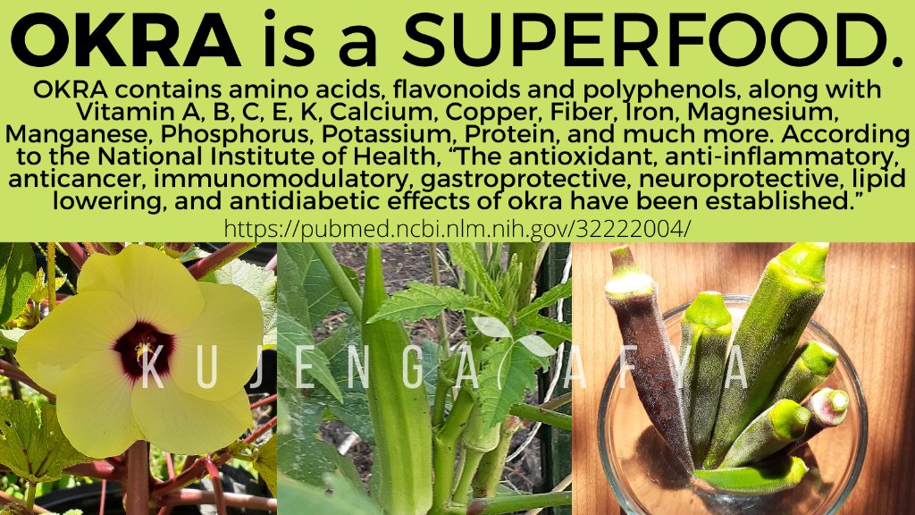 🌿😋OKRA is a SUPERFOOD.
#FreshIsBestNoContest #Plantbased #Vegan #Gardening #Garden #YouCanGrow #Herbs #HerbalMedicine #PlantTwitter