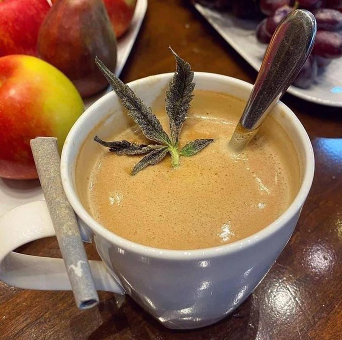 cannabuzzreport's tweet photo. Start the day as you mean to go on #cannabis #cannabiscommunity #weed #marijuana #thc #cbd #cannabisculture #weedporn @cbt_bot https://t.co/zbDP0g2VfI