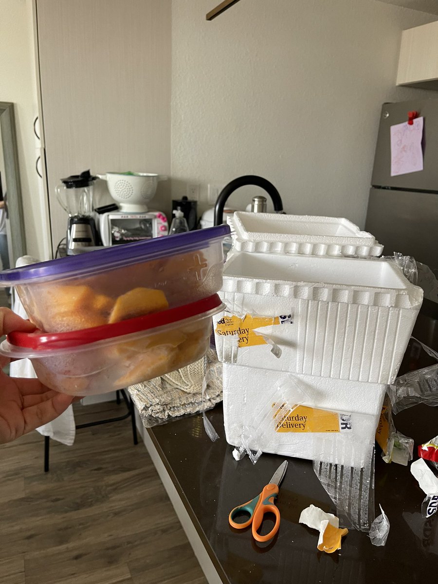 ce_silly_a's tweet photo. for the SECOND TIME my dad has OVERNIGHTED me mangoes 🥹🥹 i just moved out of state and he cut TEN whole mangoes and shipped them across the country 😭😭 https://t.co/OpW6FeIcFE