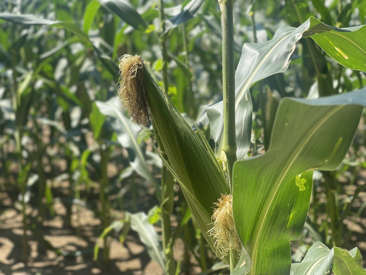 Nathalie Jones tweet media