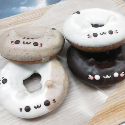 forsomnia's tweet photo. ~ you’ve got a delivery: cat shaped doughnut and Milkshake + Jasmine

to: @moonstargayzing

from: anon
💌: "I freaking love your energy mooniee❤️ Keep it up, I love you❤️" https://t.co/xxUTrVVvMk