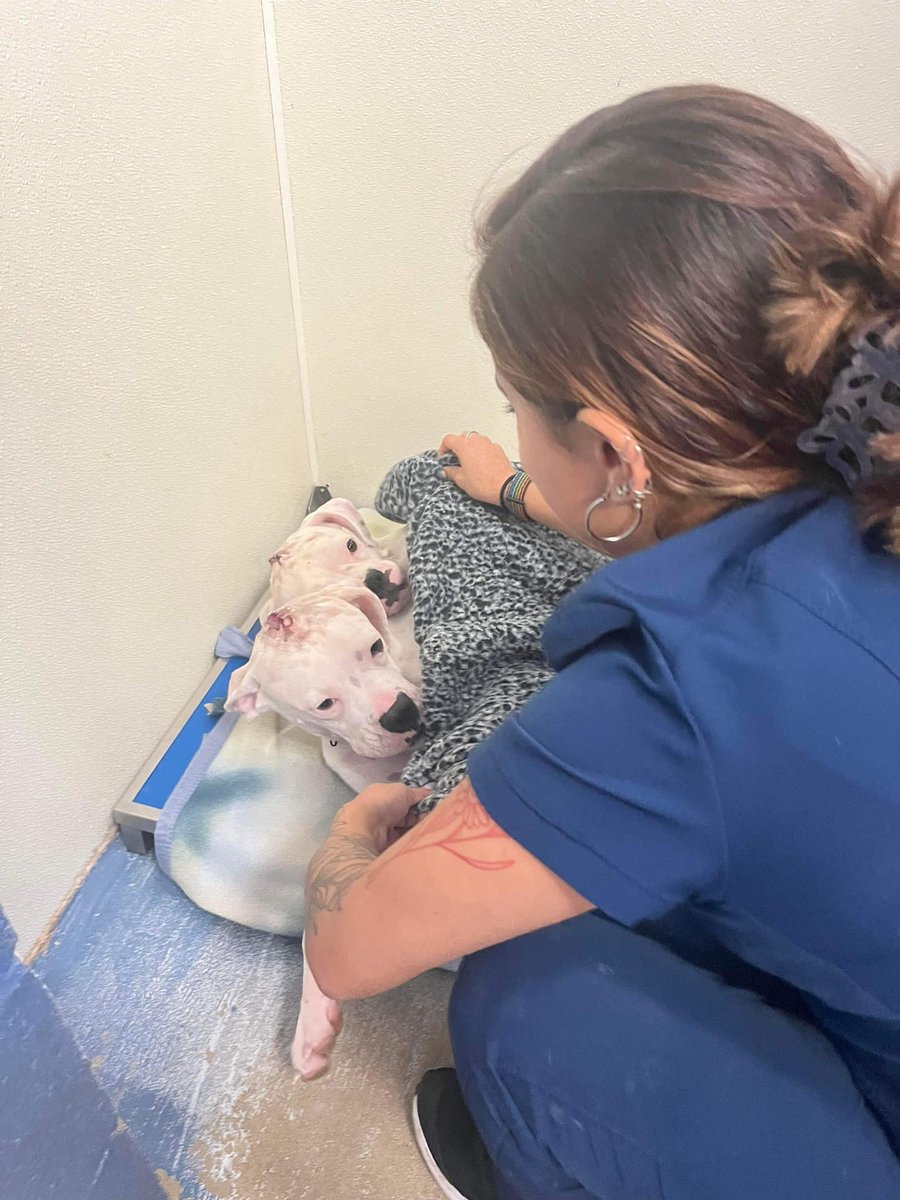 BILL SCHULER on Twitter "RT SandraK93322487 Once on death row in TX