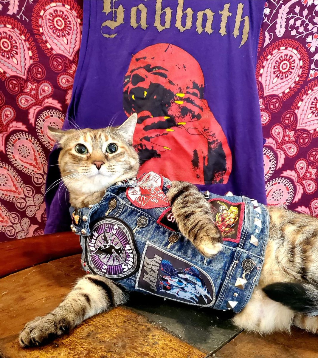 BloodLikeRain's tweet photo. Not everyday I'm getting a customer pic like this. It's "Cat Sabbath" vest with two of my releases and the model name is Wendy O.
#metaljacket #battlejacket #patchdesigner #bloodlikerainpatches #BlackSabbath #CatSabbath https://t.co/sjEEhjbMJ7