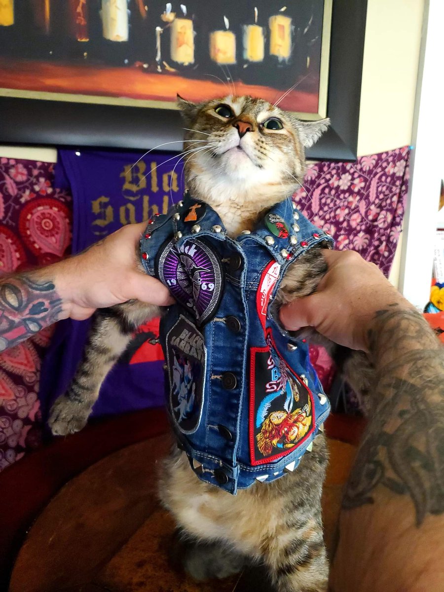 BloodLikeRain's tweet photo. Not everyday I'm getting a customer pic like this. It's "Cat Sabbath" vest with two of my releases and the model name is Wendy O.
#metaljacket #battlejacket #patchdesigner #bloodlikerainpatches #BlackSabbath #CatSabbath https://t.co/sjEEhjbMJ7