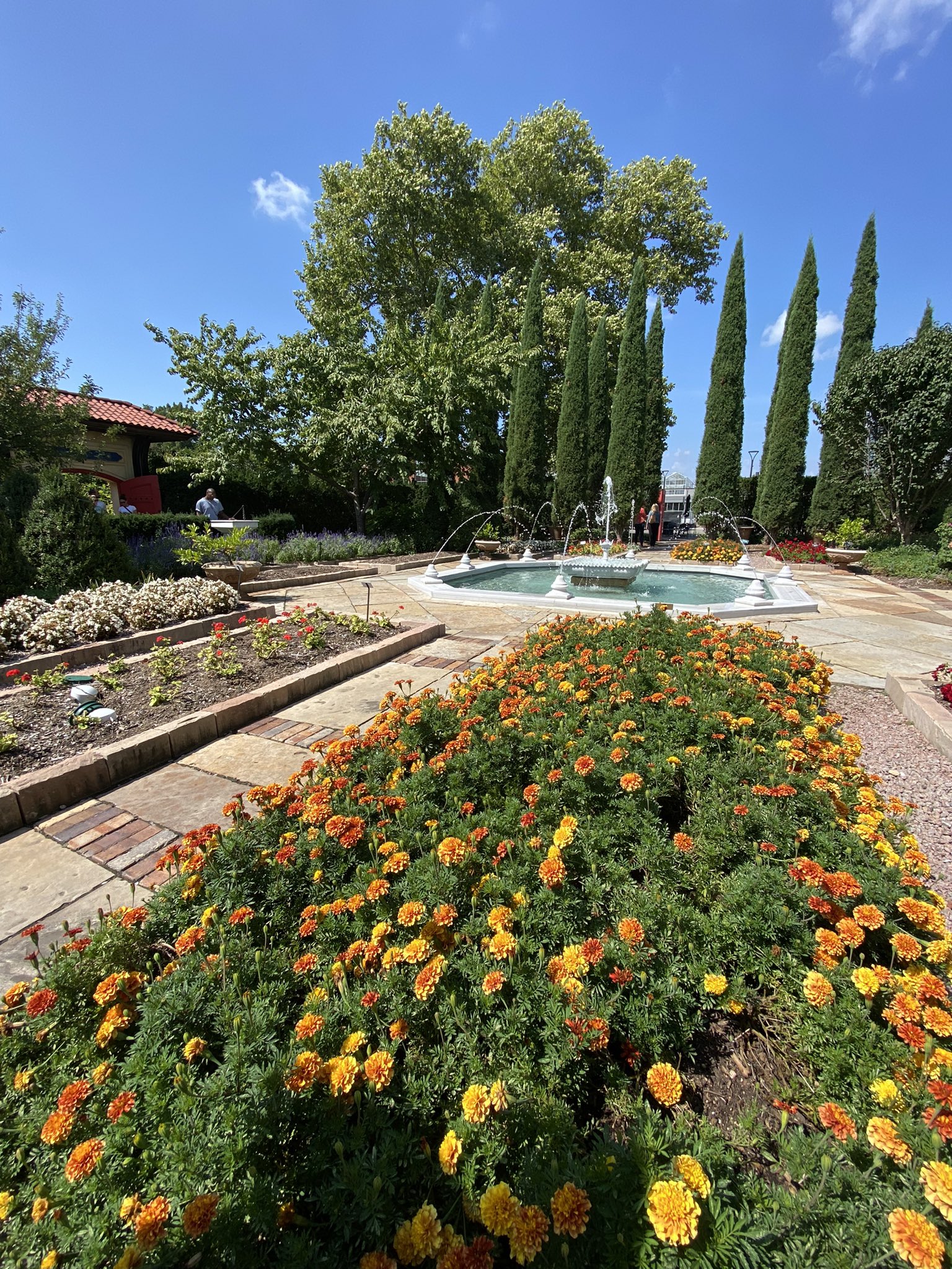 Shannon Miller on Twitter "The weekend is off to an excellent start