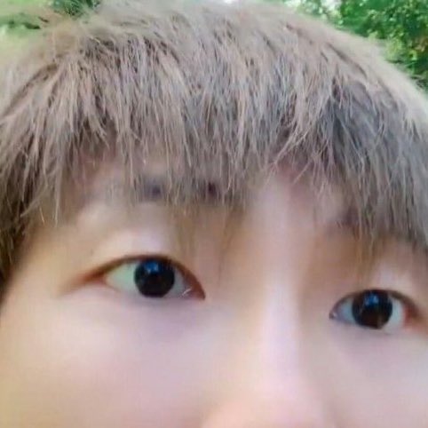 3rapline thinker💭 ia school (@3rapiine) on Twitter photo 