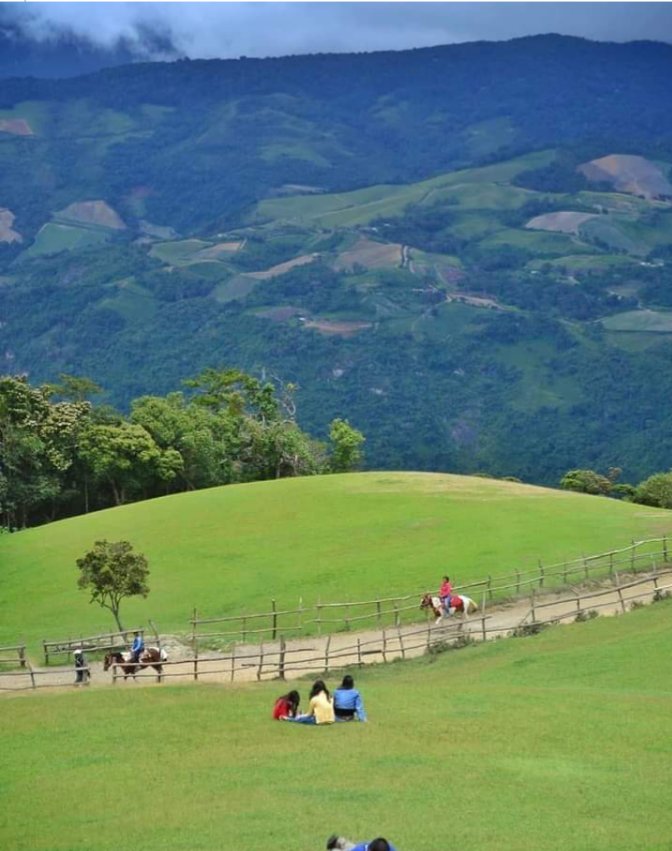 AramburuMorelia's tweet image. BELLO PAISAJE ES LOMAS DE CUBIRO ESTADO LARA VENEZUELA. 🇻🇪