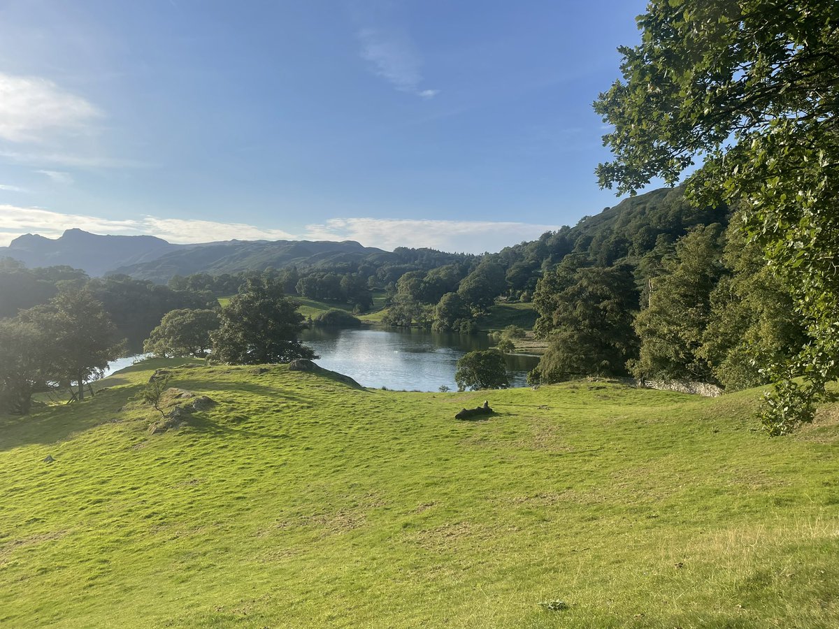 Emma Moore tweet media