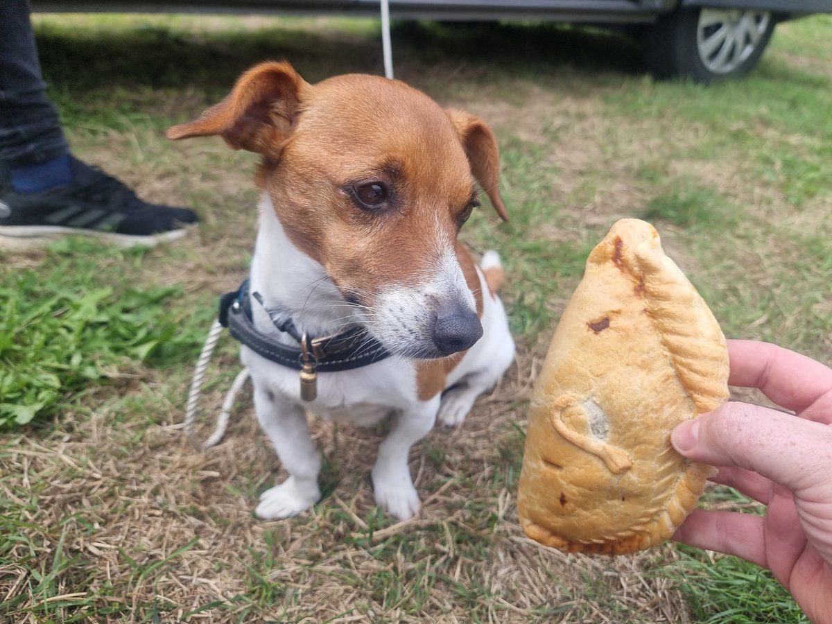 adamwise666's tweet photo. Went to Cornwall and found the holy grail of cornish Pasties. Not sure if Alf agrees or not haha https://t.co/d2k9IgqDL9