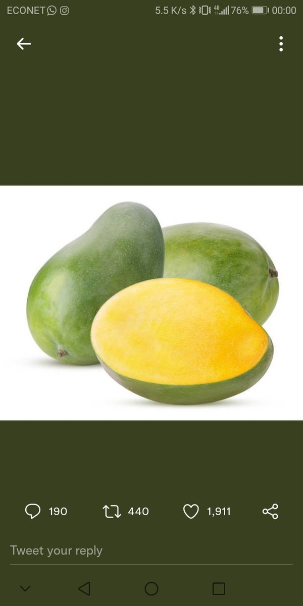 patrickmachieza's tweet photo. #GoingMango
#GreenOutside
#YellowInside https://t.co/TGEZC4zx0S