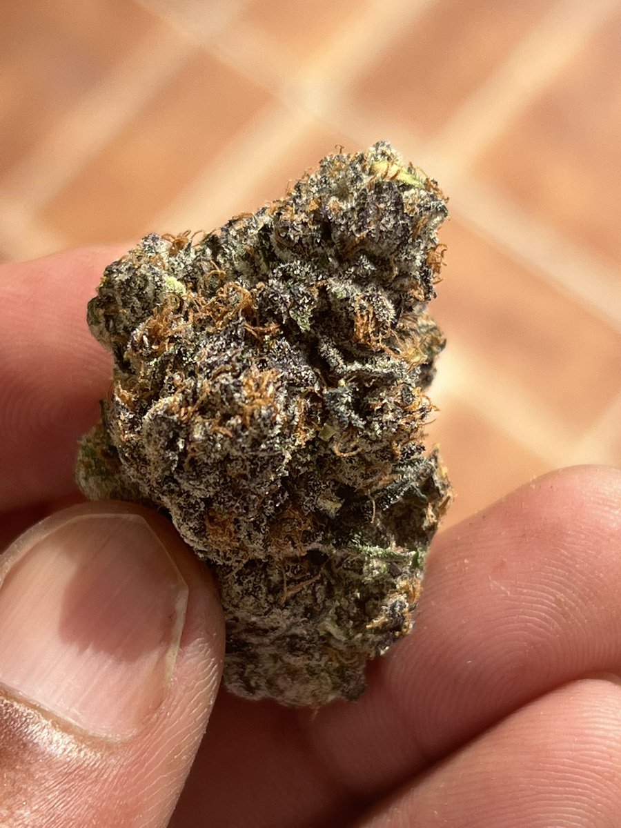 OG Pluto dropped <a href="/cookiesflorida_/">Cookies Florida</a> 
Dankest strain on the planet #TerpCentral #Gashouse