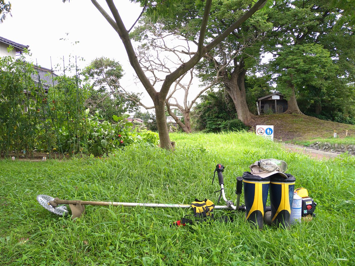 man616161's tweet photo. 20220817_草刈り(備忘録)

夏休み中、なかなか雨が止まず
やっと草刈りをしました。

隣の遊歩道や官地もついでに刈っちゃいました。

#備忘録 #Archive #夏休みの思い出 #草刈り #誰かのために

作業が終わって、辺りは暗く…
身体は汗でずぶ濡れ〜

さて、御褒美を!!🍺 https://t.co/de1CV43BPw