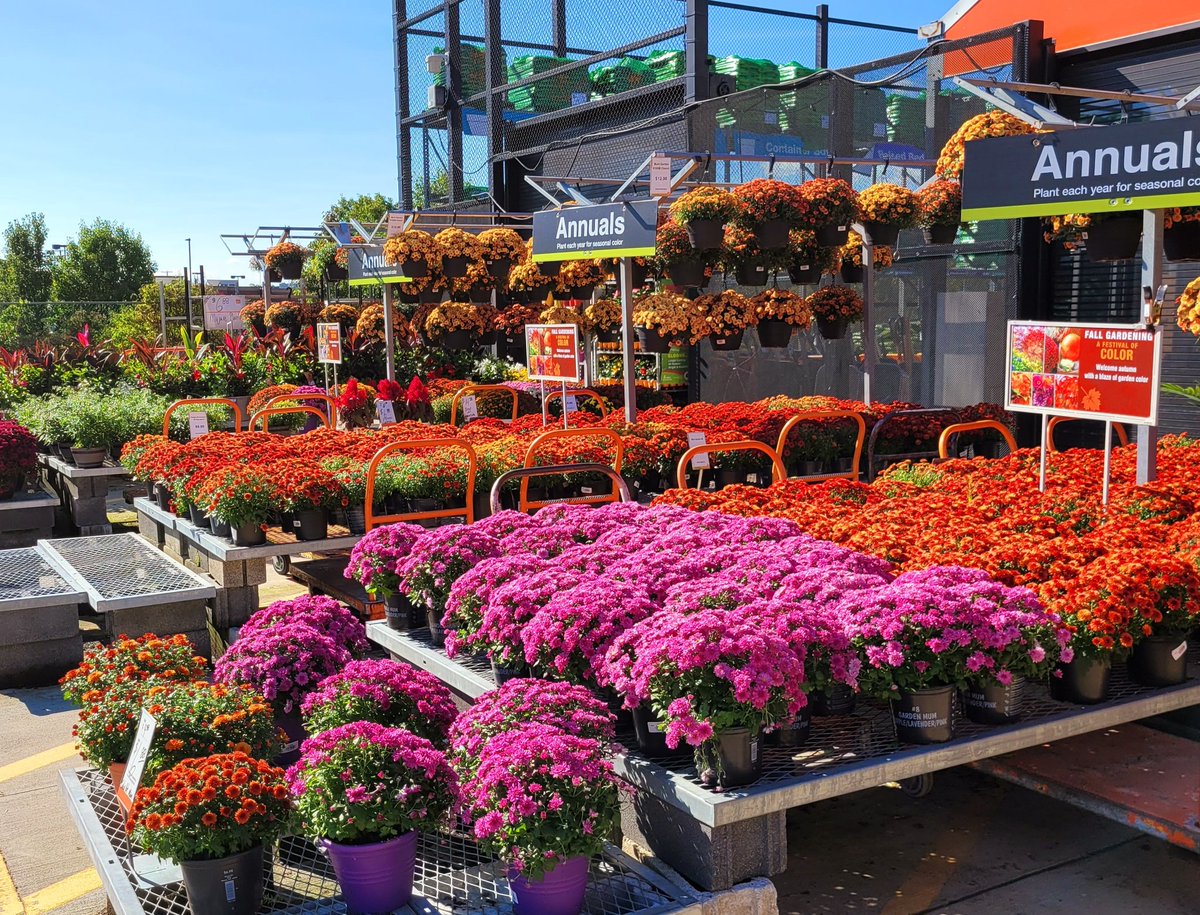 ross capparelli tweet media