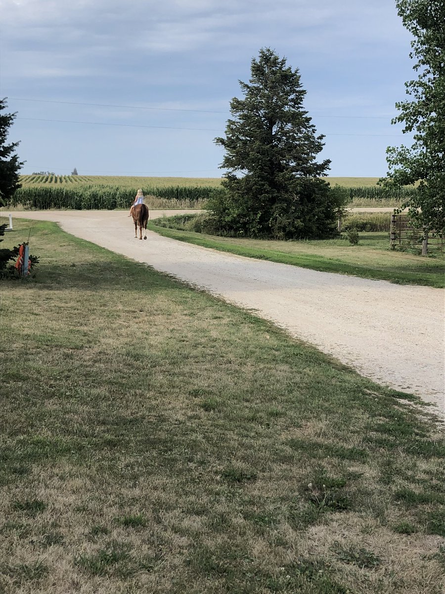 Not sure if she’s coming back. 2nd grade starts Monday and I think she’s out of here