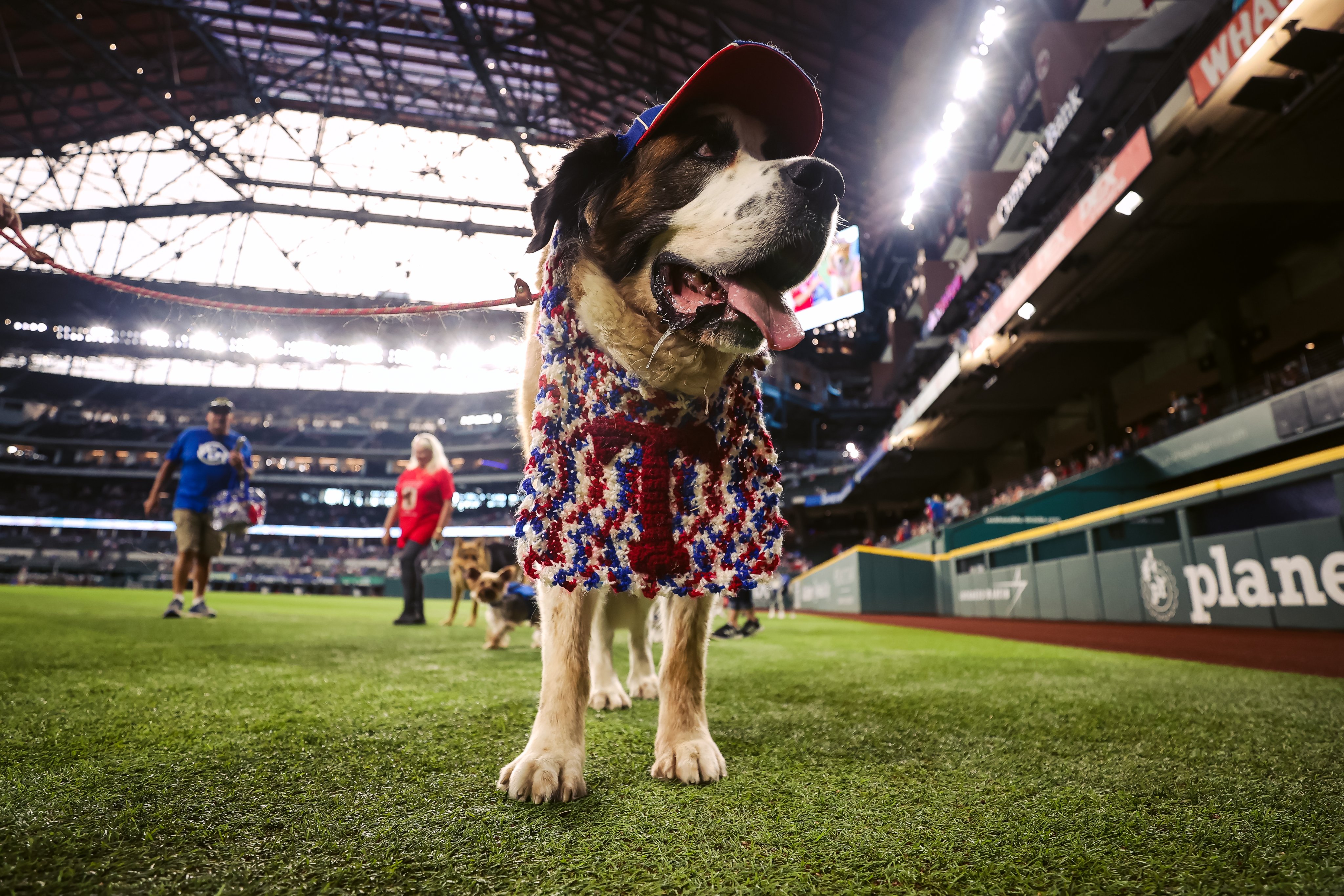 Texas Rangers on Twitter "Every day should be Bark at the Park day. ️