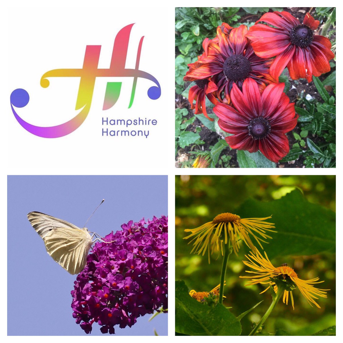 choir_ladies's tweet photo. Are you enjoying the Bank Holiday Weekend? Here summer images with our new logo! Find out more about our upper voice #choir by visiting our stall at #Tesco #Chineham #Basingstoke on Saturday 3rd September between 11 and 2.30. We meet on Mondays at #ECABasingstoke at 7.30 pm. https://t.co/TOoT7JcHGY