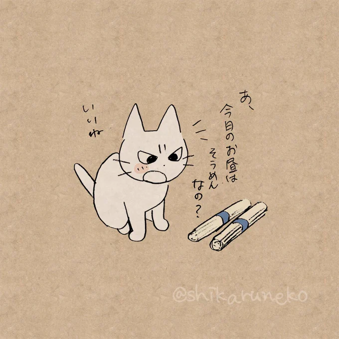 そうめんの適量がいつまでも掴めない人を叱ってくれる猫 