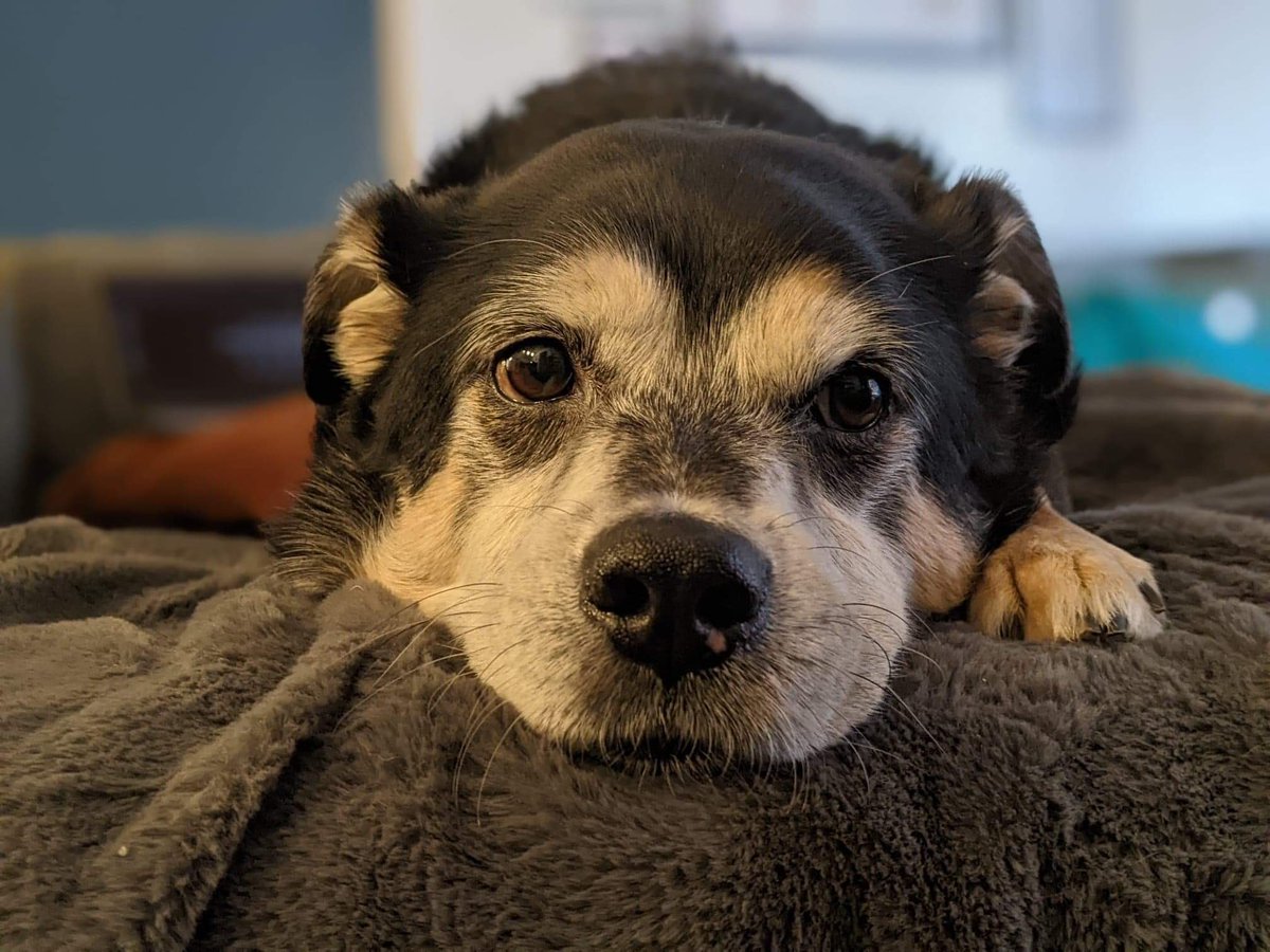 Maura Harkin tweet media