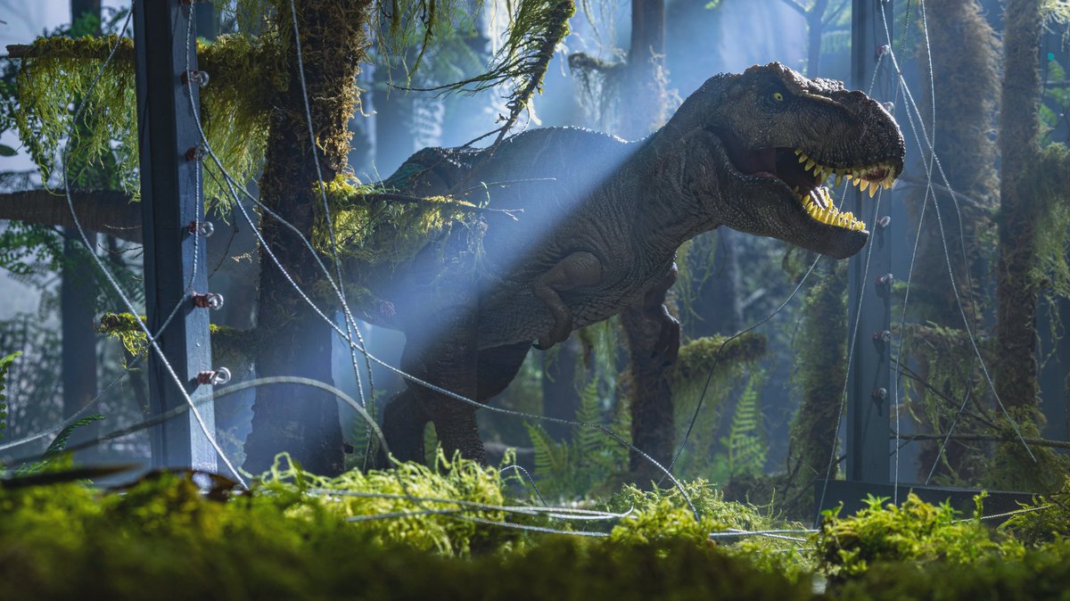 SceneBorn's tweet photo. I'm running out of caption ideas but y'all asked for more so here it is!
@MarcoMakesYT & Co Rubbersaurs T.rex strikes again.
#jurassicpark #toyphotography #toycinematography #jurassicworld #rexy #trex #t_rex #toy #jurassicparkfanart #marcomakes #rubbersaurs #thelostworld https://t.co/BewmS7Q1M0