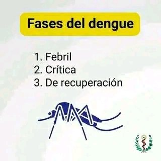 Ade_DRamirez's tweet photo. 🤒Tomado del perfil de Facebook Prosalud Jagüey Grande #RedHSHCuba #RedHSHProvincialMatanzas #Matanzas 
@EtecsaMatanzas https://t.co/IBEf0BQVVd