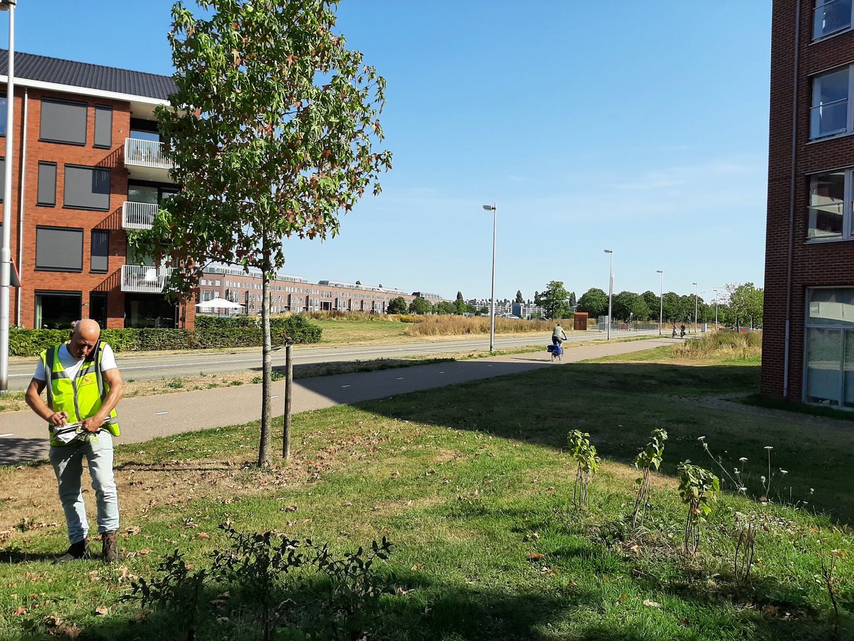 HupBerg's tweet photo. Met voorman #trotsopstadsbedrijven bekijken voor meer ecologisch groen in Amaliapark. #samenutrecht https://t.co/tIGc7nYvfB
