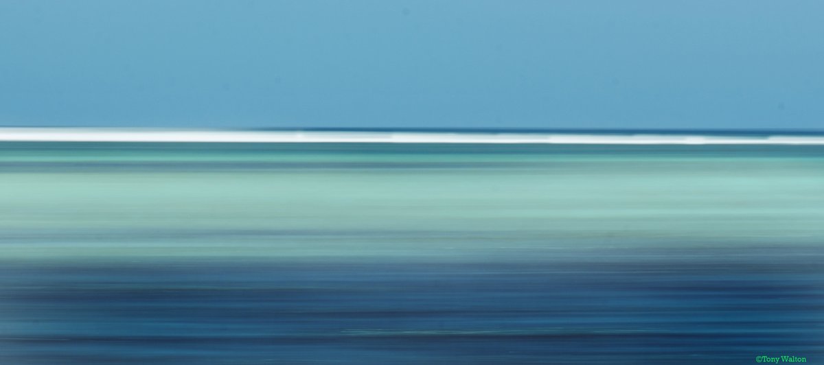 caymanchess's tweet image. 