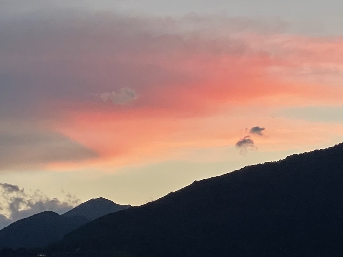 berger_bb's tweet photo. The lovely evening. 🌼🌸 #now #view https://t.co/lQaFgHFzLF