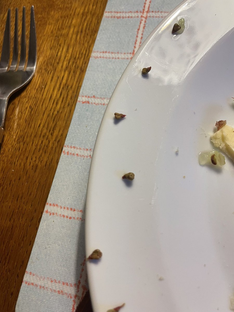 AlexxHowson's tweet photo. @sainsburys Awful lot of seeds in my seedless grape packet this evening… Only 5 grapes in and found 6 seeds!! https://t.co/xGK7V50CzO