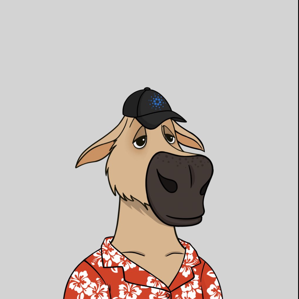 Reliable_NFT_9's tweet image. The moose is on the loose! Thanks for a smooth mint @ModestMooseClub. Can’t wait to add more and for the casino utility that is in the works. Get your moose while you can everyone! #cnft #mooseontheloose #modestmoose