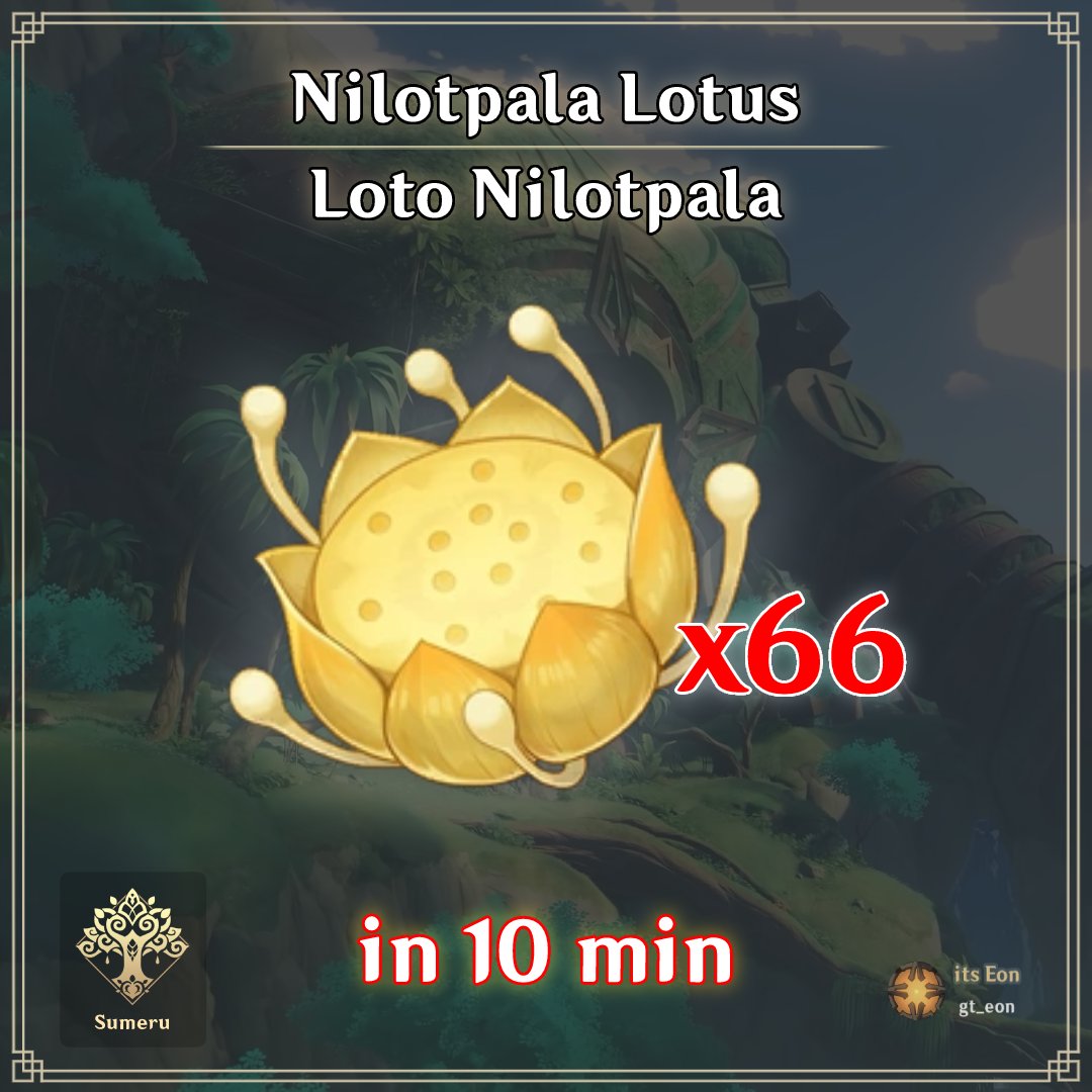gt_eon's tweet photo. Today I bring you the fastest Farming route to get Nilotpala Lotus! 🙏
Note: I recommend that you watch the video, there are some materials that are difficult to find with only using the map.
Video:
https://t.co/8aCYZRli8g

(1/3)
#Sumeru #Collei #GenhinImpact https://t.co/yUHG2O2yn3