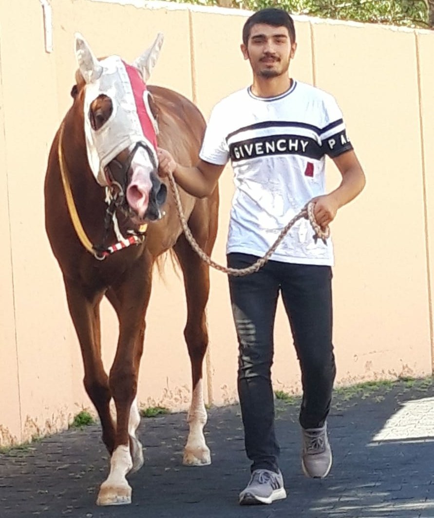 Bugün İzmir'de RINDAMIN - DAĞKIRAN ve BEST OF FATOŞ ile üç yarış kazanarak hat-trick yapan Mehmet Ali KAYA'ya kocaman maşallah 🧿 gözün aydın aslanım benim 👏👊

<a href="/M_AliKaya/">Mehmet Ali KAYA 🇹🇷</a>