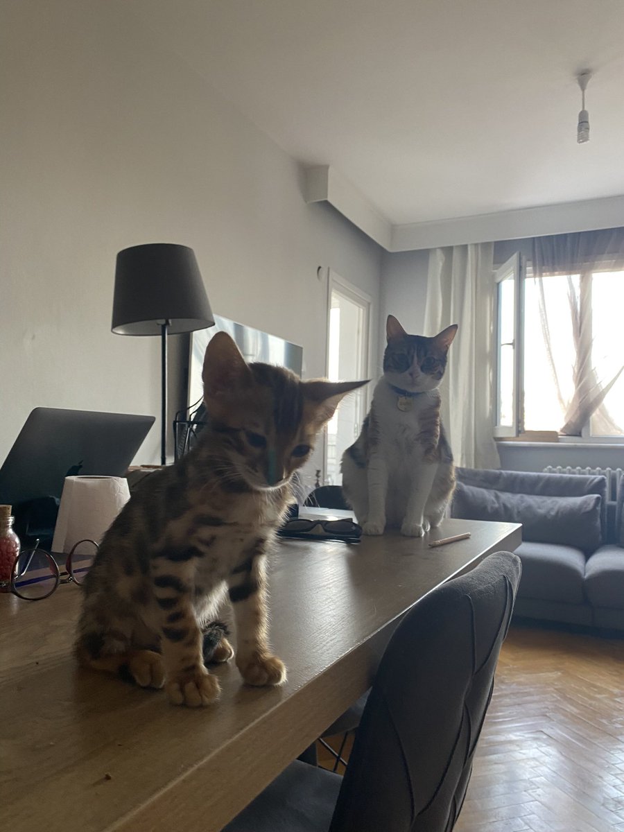 öğğğk kitsin bu efden bu böjeng