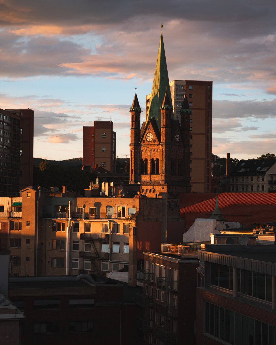 You just gotta love that sweet sweet golden hour light 🧡